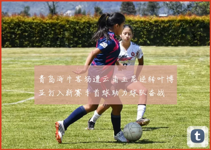 青岛海牛客场遭云南玉昆逆转叶博亚打入新赛季首球助力球队奋战